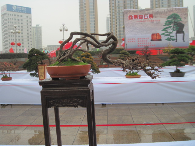 2013ų辰չ 070.jpg