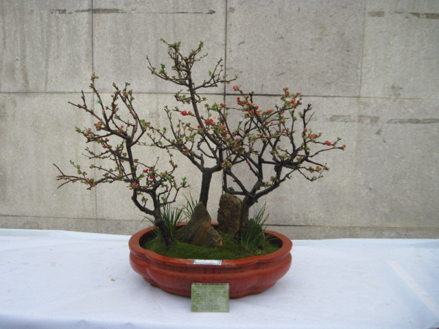 2013ų辰չ 077.jpg