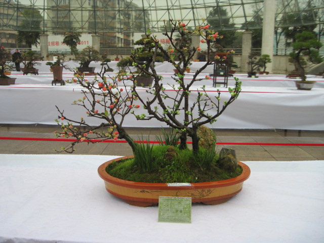 2013ų辰չ 090.jpg