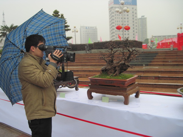 2013ų辰չ 129.jpg