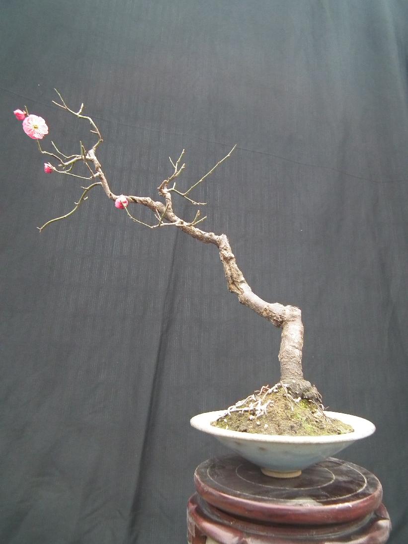 DSCF6207.JPG