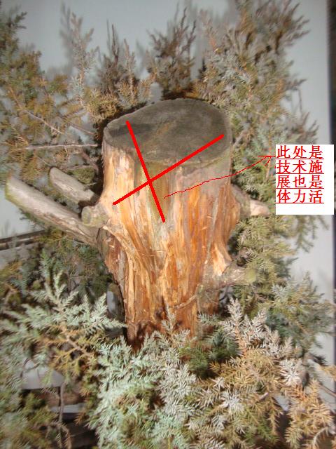 DSC06345.JPG
