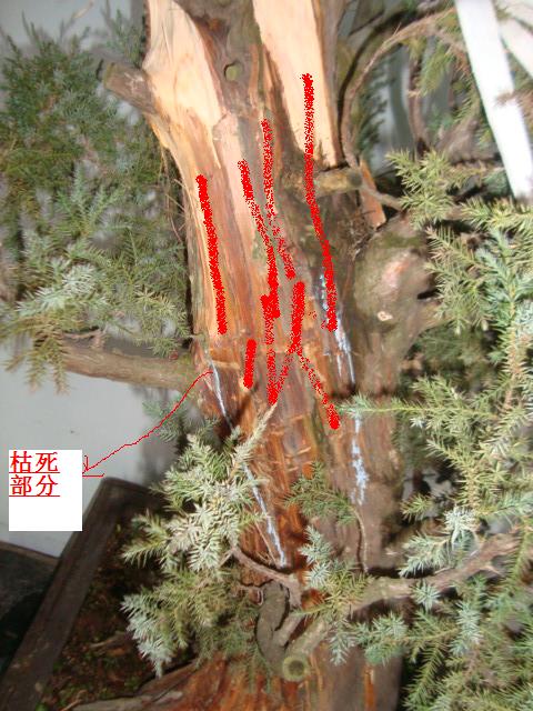 DSC06347.JPG