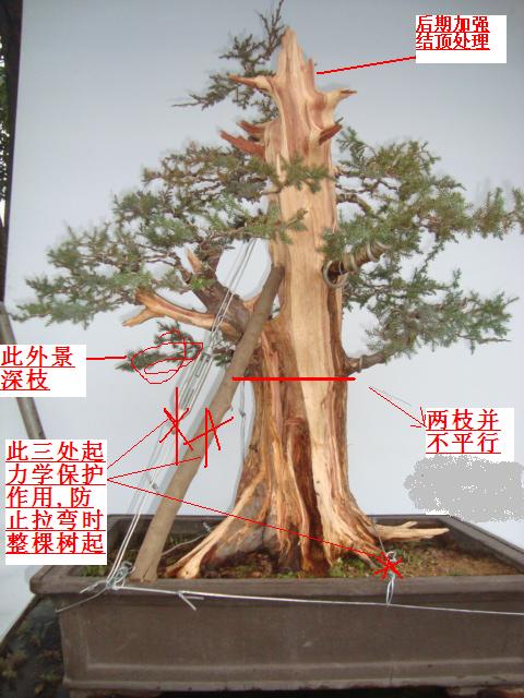 DSC06372.JPG