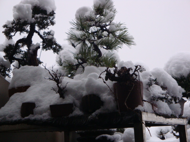 DSC02177.JPG