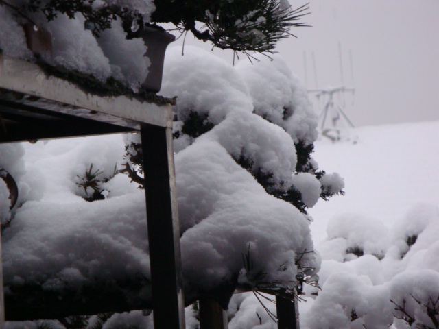 DSC02178.JPG