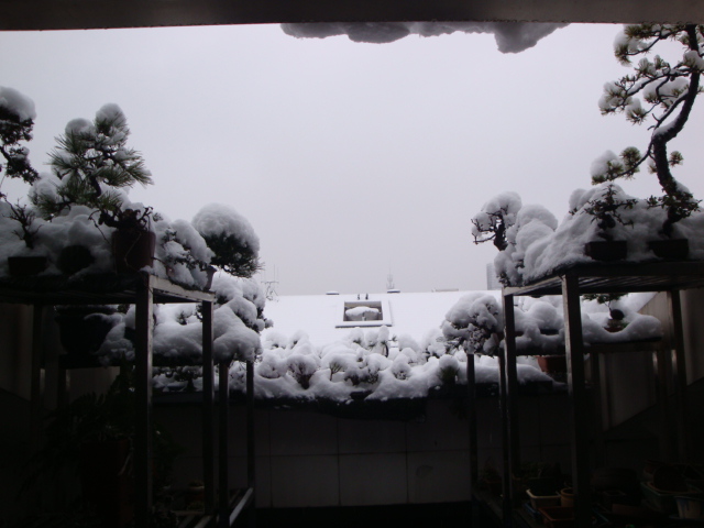 DSC02179.JPG