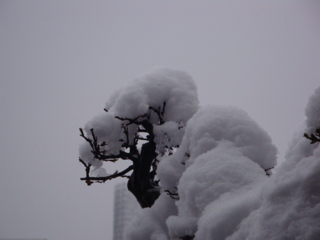 DSC02183.JPG