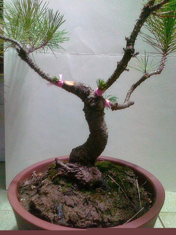 20130219223_.jpg