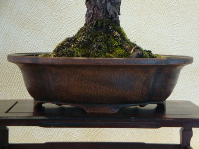 DSC02007.JPG
