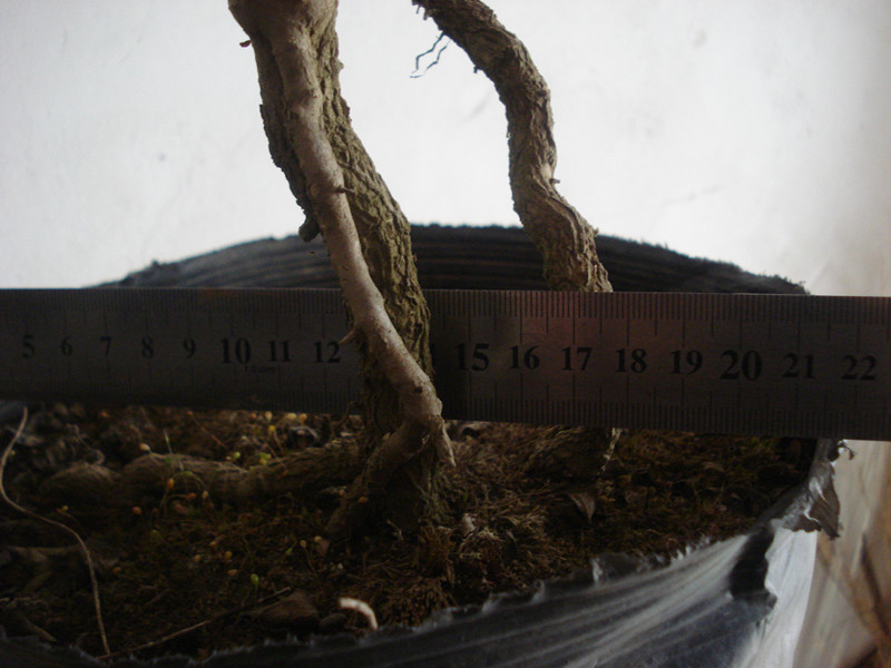 DSC04445_.jpg