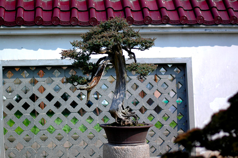 DSC_7496__.jpg