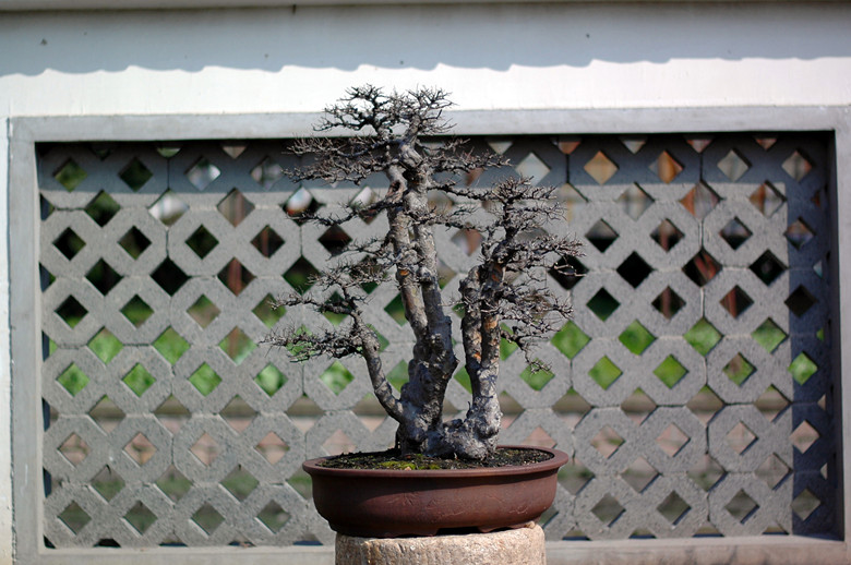DSC_7499__.jpg