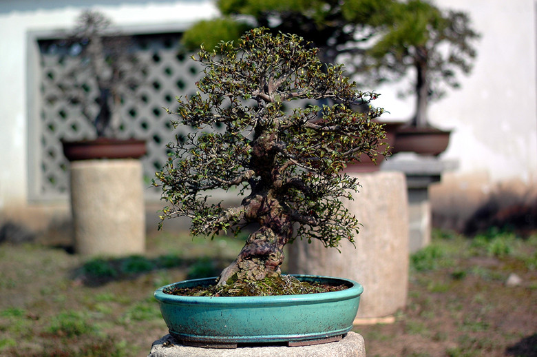DSC_7494__.jpg