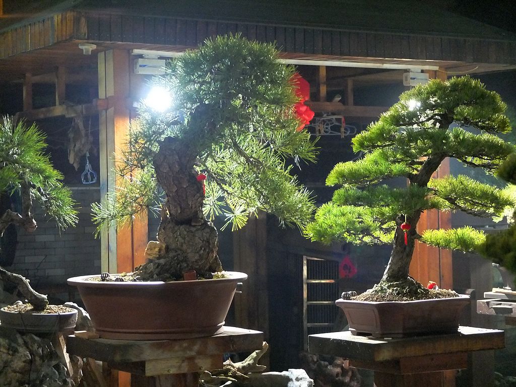 DSCF0671.jpg