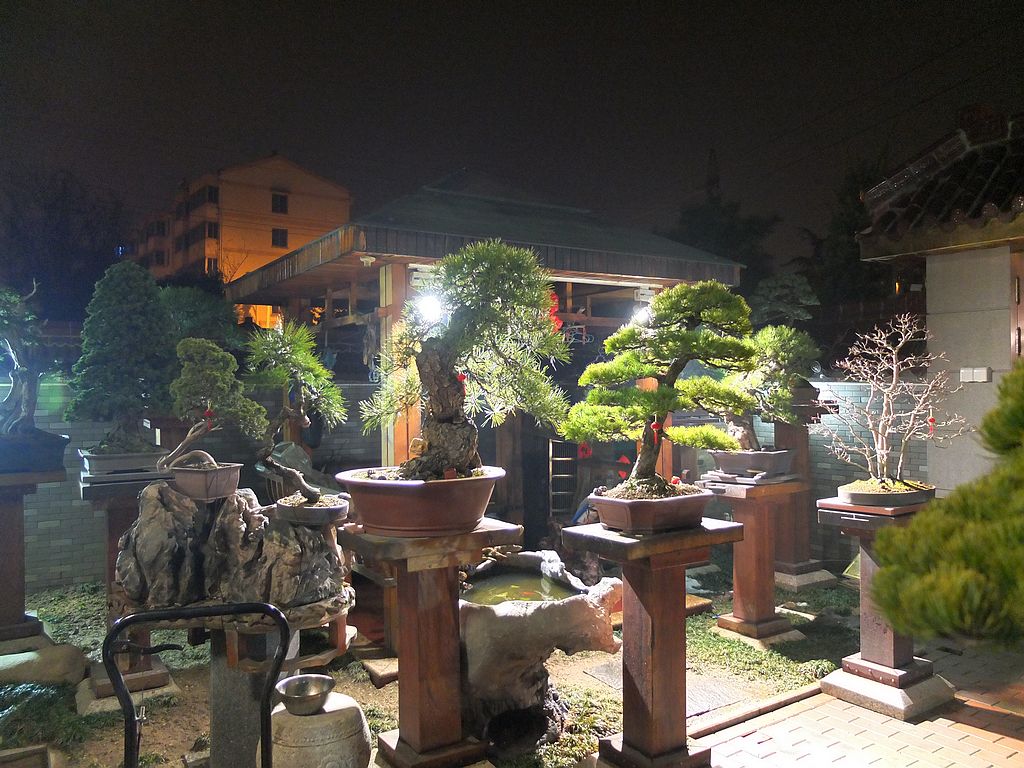DSCF0661.jpg