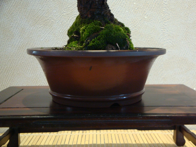DSC02009.JPG