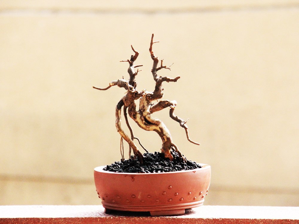 Ƭ 009.jpg