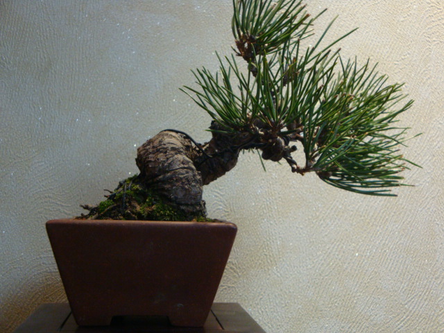 DSC02055.JPG