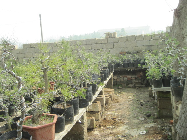 20130223СƷ 002.jpg