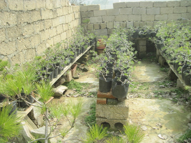 20130223СƷ 004.jpg