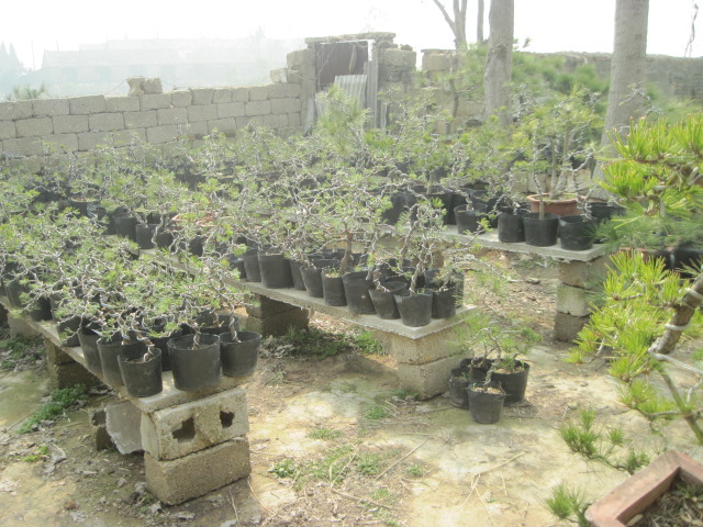 20130223СƷ 006.jpg