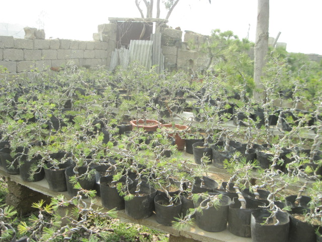 20130223СƷ 008.jpg