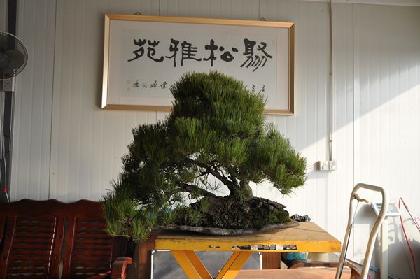 ҵ辰 284.jpg