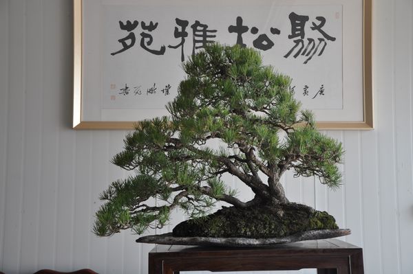 ҵ辰 291.jpg