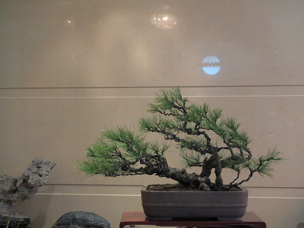 DSCF0844.jpg