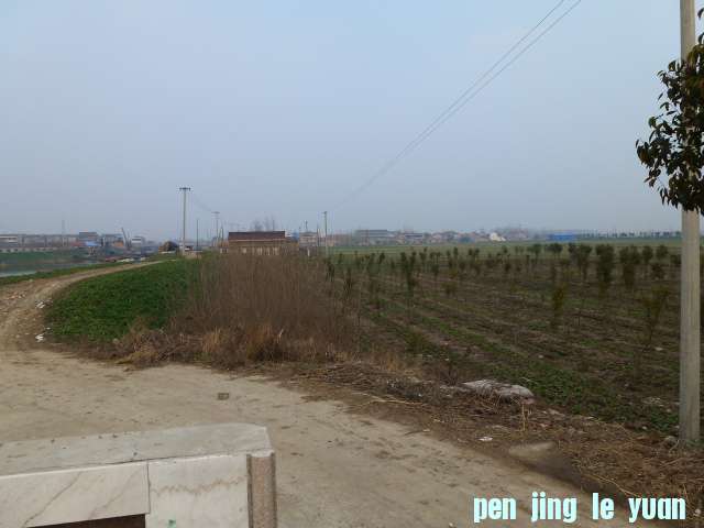 P1040455.JPG