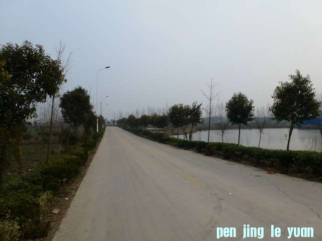 P1040460.JPG