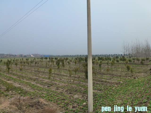 P1040462.JPG