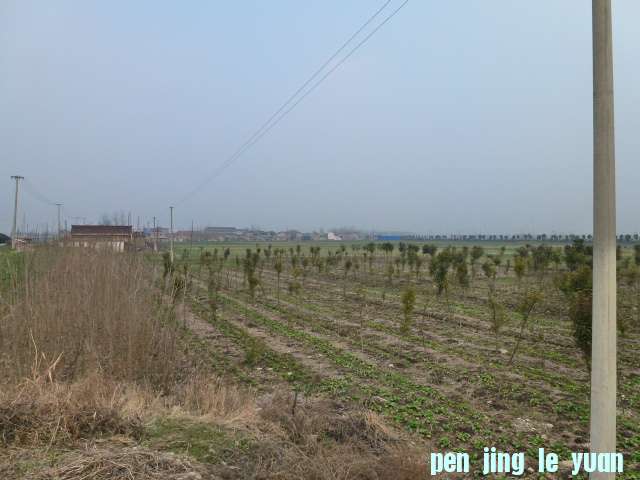 P1040463.JPG