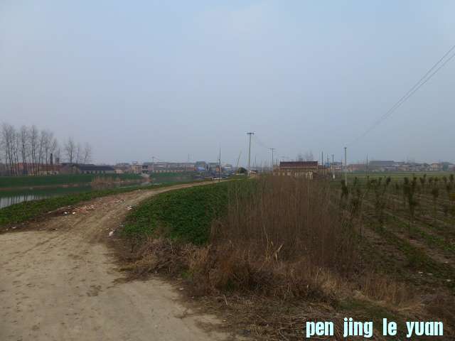 P1040465.JPG