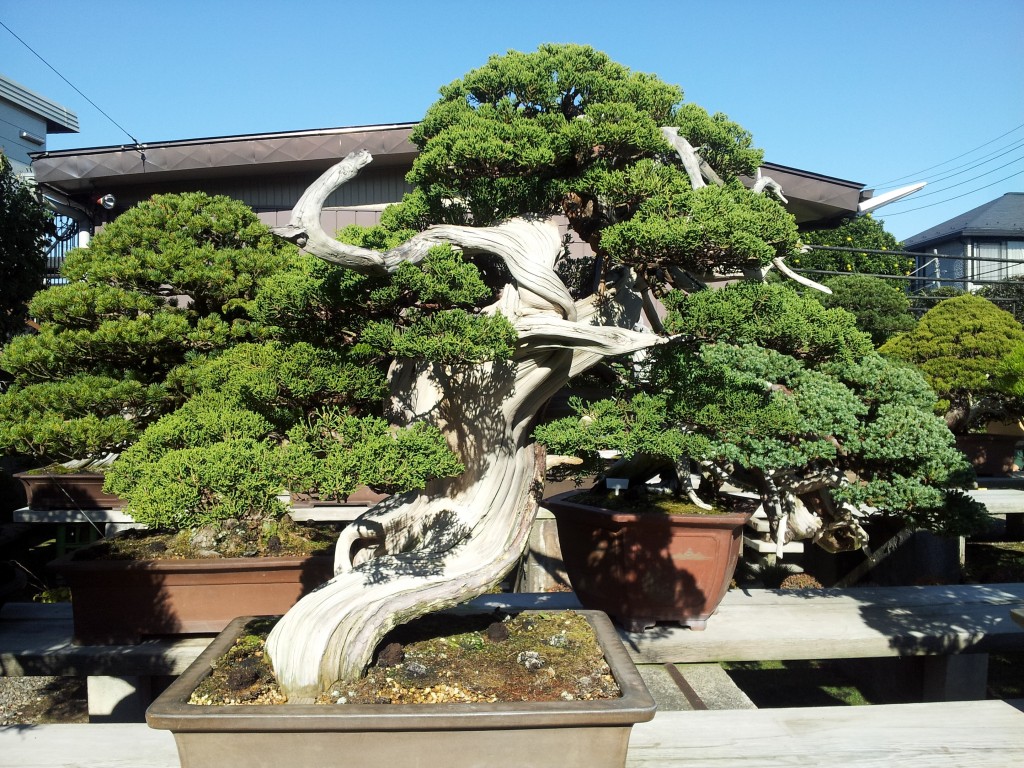 conew_20121120_095115.jpg