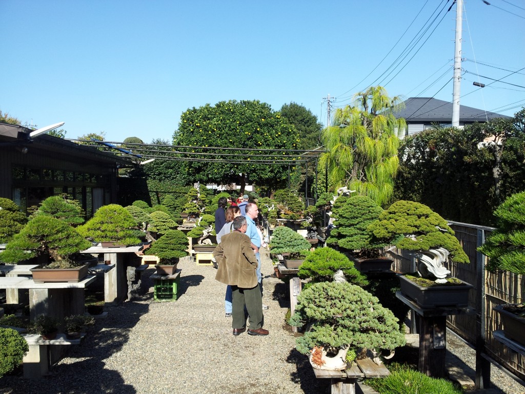 conew_20121120_095233.jpg