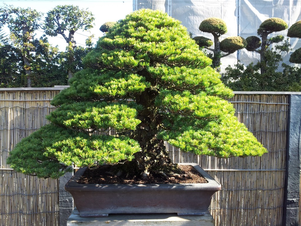 conew_20121120_095331.jpg