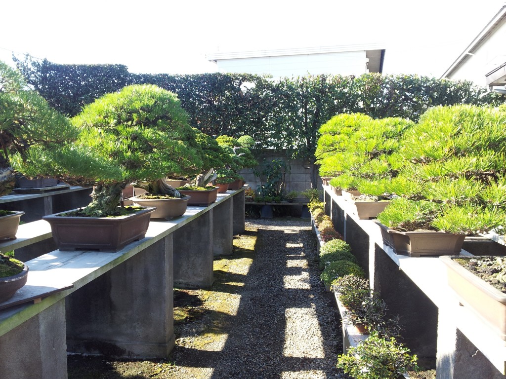 conew_20121120_095349.jpg