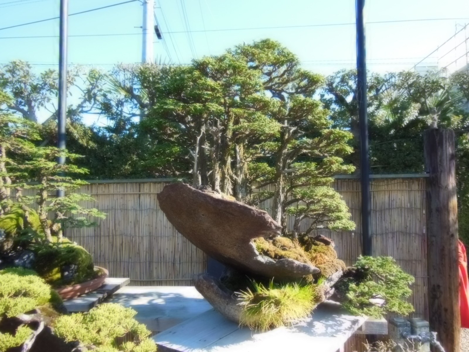DSCN0089.jpg