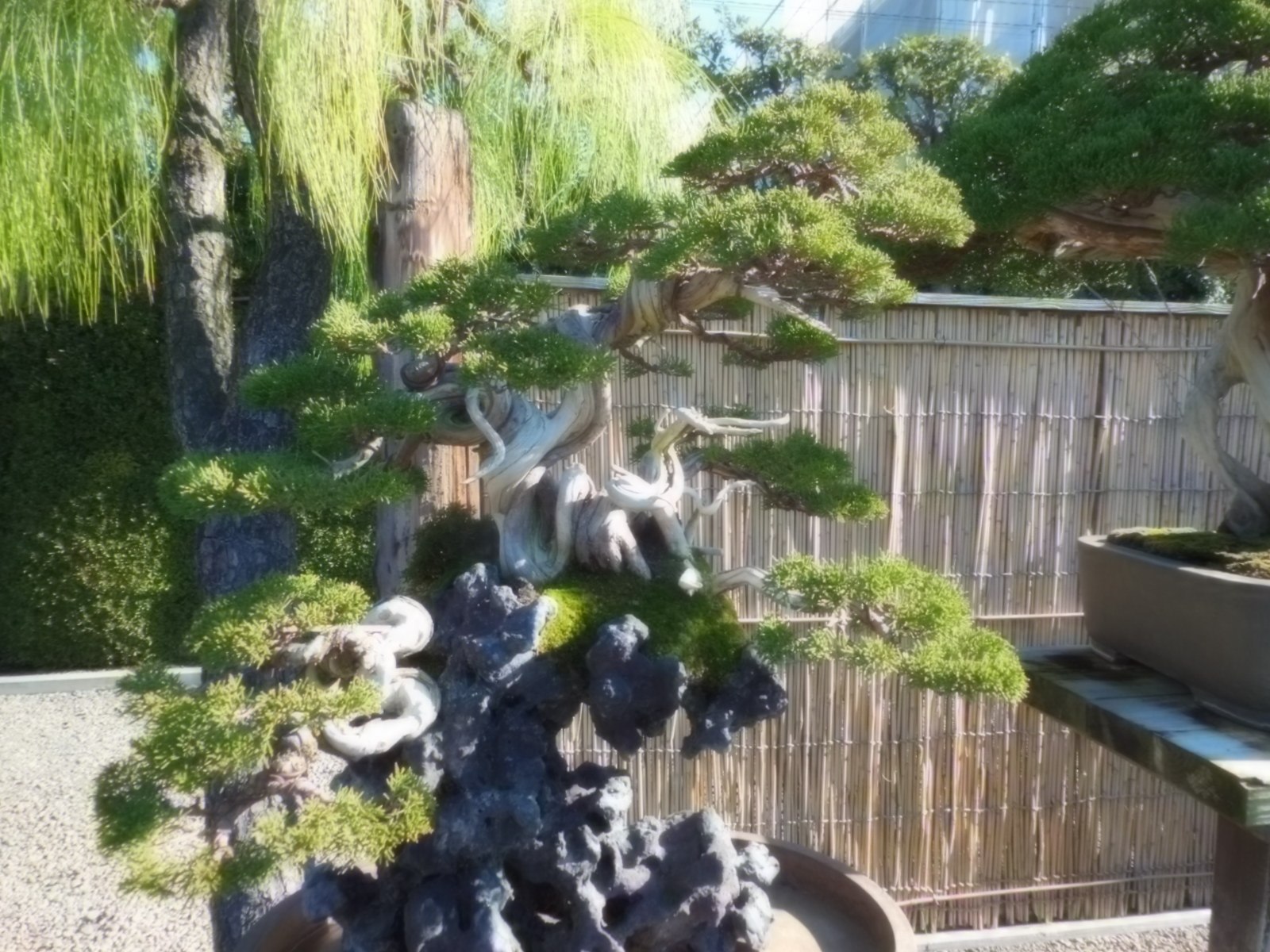 DSCN0093.jpg