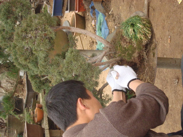 DSC06455.jpg