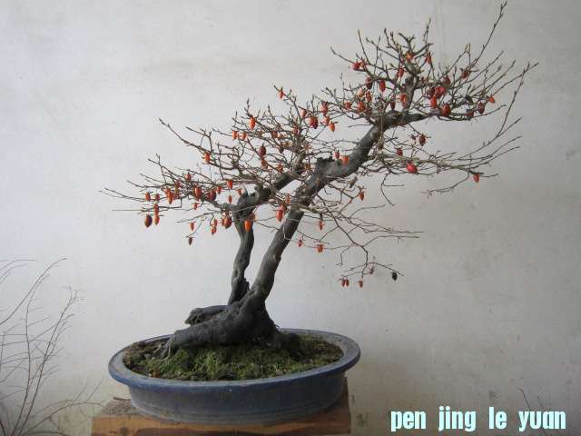 20130208