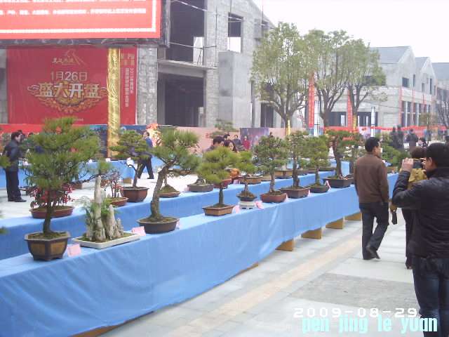 PHOT0092.JPG