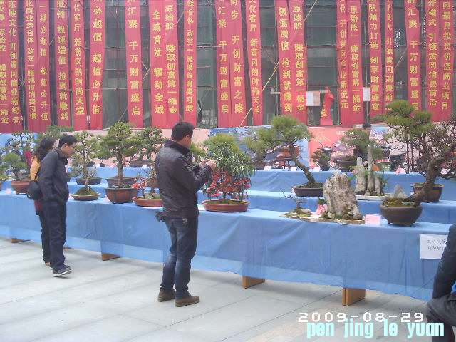 PHOT0094.JPG