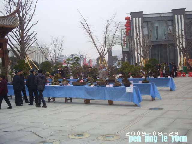 PHOT0086.JPG