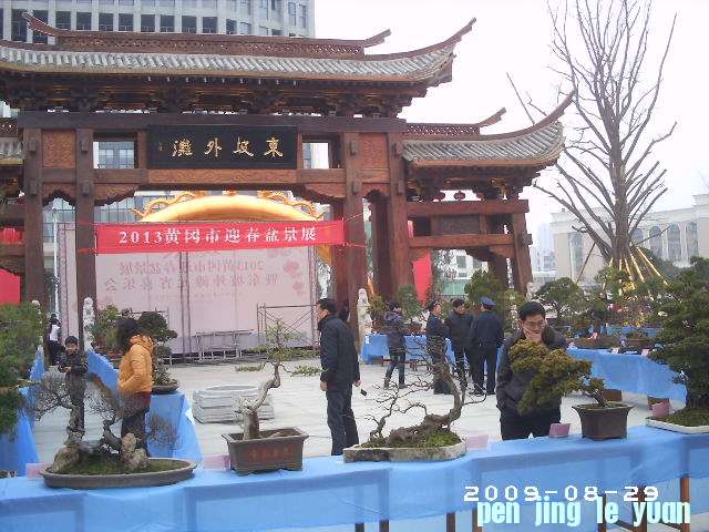 PHOT0087.JPG