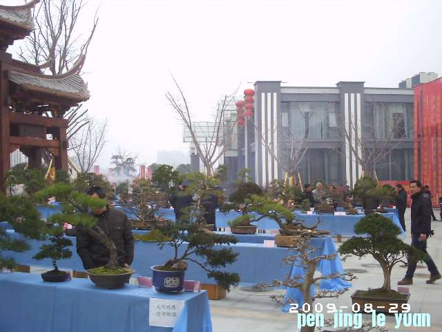 PHOT0089.JPG