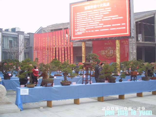 PHOT0090.JPG