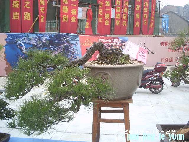 PHOT0021.JPG